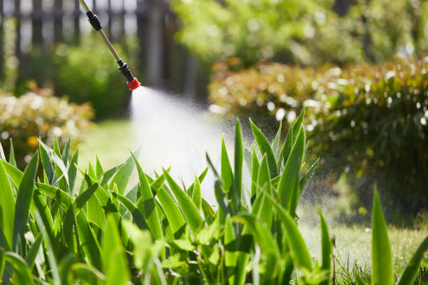 Tamper-Resistant Bait Stations for Rodents in New Sharon