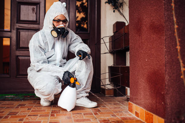 Attic and Crawl Space Rodent Treatment in New Sharon